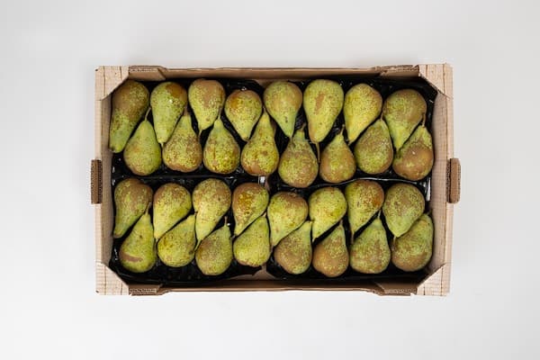 Embalaje de pera Granfer