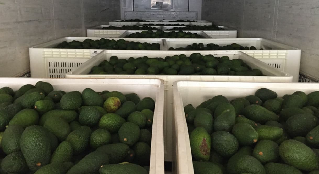 Conheça a WESTFALIA