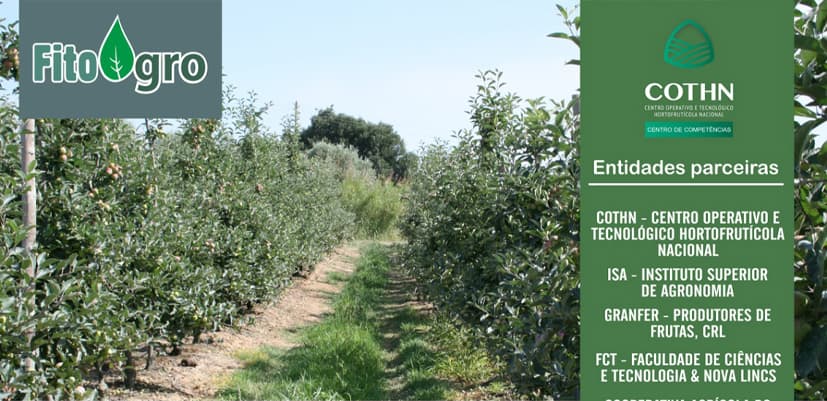 Estratégias alternativas à luta química