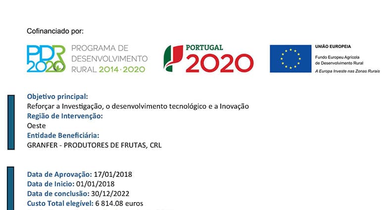 Reforçar a Investigação, o desenvolvimento tecnológico e a Inovação